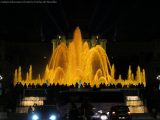 My Gallery (10/11)